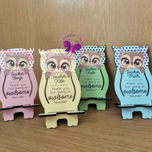 Load image into Gallery viewer, Personalized owl teacher set (Various Colours)