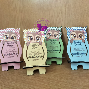 Personalized owl teacher set (Various Colours)
